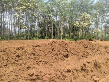 DIJUAL TANAH KAVLING MURAH HANYA 95 JUTA SAJA DI PAKIS MALANG RAYA