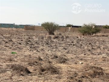 Parcela en venta 5000 m2 en Lampa