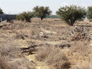 Parcela en venta 5000 m2 en Lampa