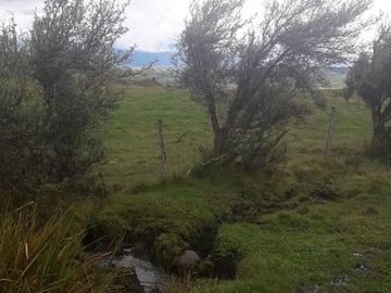 OPORTUNIDAD INVERSIONISTA VENDO HERMOSA HACIENDA en CARCHI 683 Has