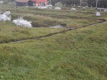 OPORTUNIDAD INVERSIONISTA VENDO HERMOSA HACIENDA en CARCHI 683 Has