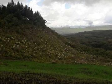 OPORTUNIDAD INVERSIONISTA VENDO HERMOSA HACIENDA en CARCHI 683 Has
