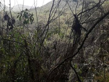 OPORTUNIDAD INVERSIONISTA VENDO HERMOSA HACIENDA en CARCHI 683 Has