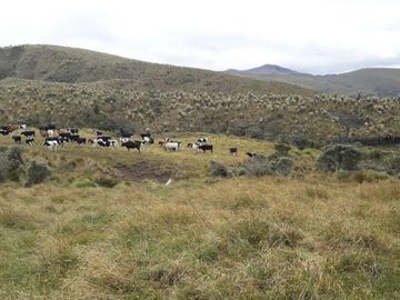 OPORTUNIDAD INVERSIONISTA VENDO HERMOSA HACIENDA en CARCHI 683 Has