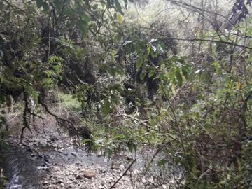 OPORTUNIDAD INVERSIONISTA VENDO HERMOSA HACIENDA en CARCHI 683 Has