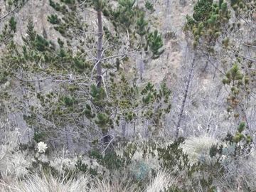 OPORTUNIDAD INVERSIONISTA VENDO HERMOSA HACIENDA en CARCHI 683 Has