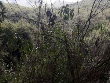OPORTUNIDAD INVERSIONISTA VENDO HERMOSA HACIENDA en CARCHI 683 Has
