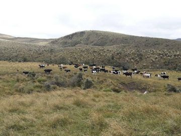 OPORTUNIDAD INVERSIONISTA VENDO HERMOSA HACIENDA en CARCHI 683 Has
