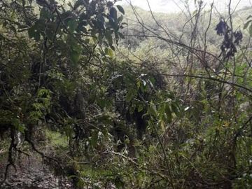 OPORTUNIDAD INVERSIONISTA VENDO HERMOSA HACIENDA en CARCHI 683 Has