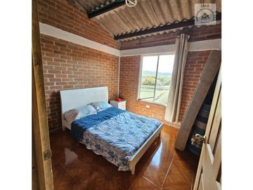 ref 887a pavas/L. CRUZ