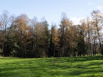 Sitio en venta en Panguipulli