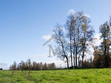 Sitio en venta en Panguipulli