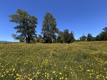 Sitio en venta en Panguipulli