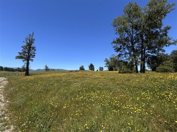 Sitio en venta en Panguipulli
