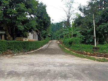 Dijual Tanah Kebun Durian Mojogedang Karanganyar