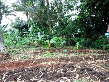 Di Jual cepat Tanah murah dekat Polsek Cisauk - Cibogo, Tangerang.