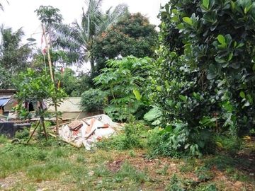 Di Jual cepat Tanah murah dekat Polsek Cisauk - Cibogo, Tangerang.