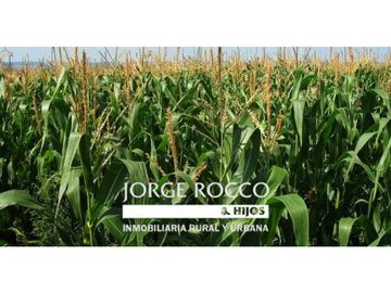 Campo en venta en Cañuelas. 45 Has. mixtas