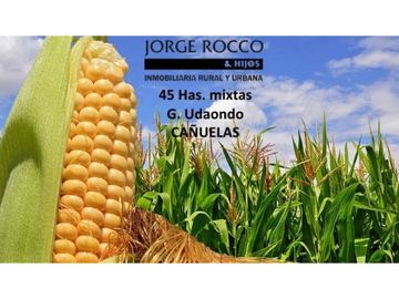 Campo en venta en Cañuelas. 45 Has. mixtas