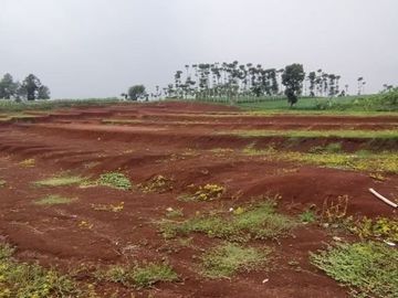 Rumah DP 0 Cicilan 1 Juta an