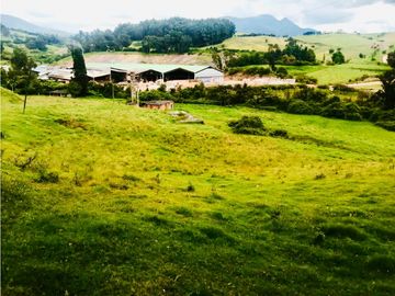 VENTA DE LOTE MINERO- INDUSTRIAL EN COGUA