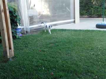 Venta- 7 ambientes- Casa - Lanin 1070- Villa Florencia