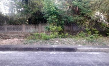 Last Remaining Lot 230 Sqm for Sale at Lapulapu City Cebu Villas Magallanes