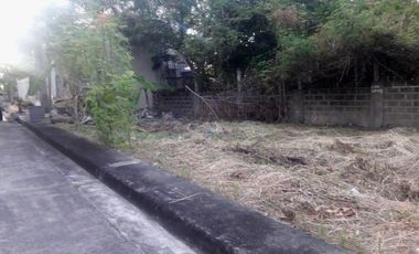Last Remaining Lot 230 Sqm for Sale at Lapulapu City Cebu Villas Magallanes