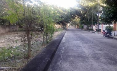 Last Remaining Lot 230 Sqm for Sale at Lapulapu City Cebu Villas Magallanes
