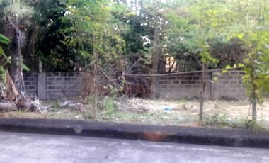 Last Remaining Lot 230 Sqm for Sale at Lapulapu City Cebu Villas Magallanes