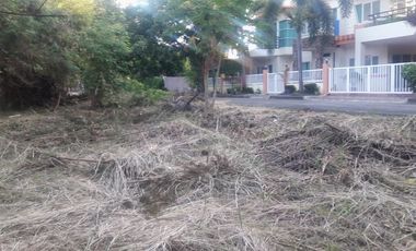 Last Remaining Lot 230 Sqm for Sale at Lapulapu City Cebu Villas Magallanes