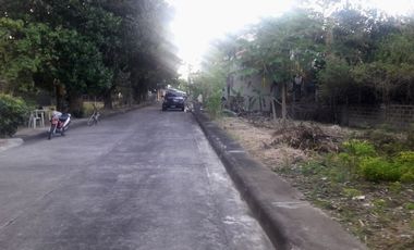 Last Remaining Lot 230 Sqm for Sale at Lapulapu City Cebu Villas Magallanes