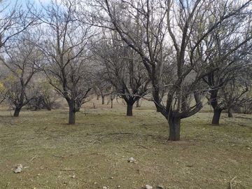 Sitio en Venta en Entre Tiltil camino Caleu