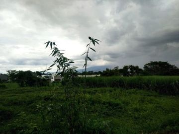 DREAMPROPERTI | Oper lahan perumahan di bugis pakis malang