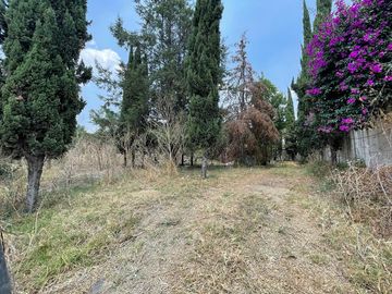 Terreno en Calle Cerrada en Leandro Valle, Barrio Norte