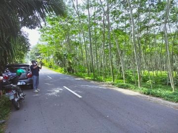 Tanah Pekarangan Luas Lokasi Pinggir Jalan di Wonokerto