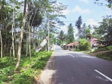 Tanah Pekarangan Luas Lokasi Pinggir Jalan di Wonokerto