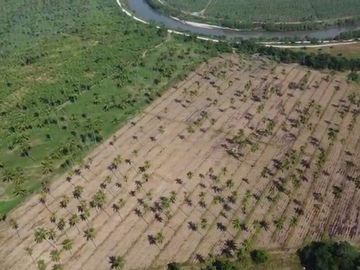 Rancho en venta Cihuatlan