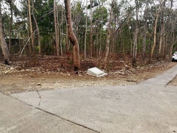 SELLING CHEAP LAND IN JOGJAKARTA
