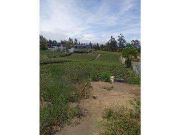 VENDO TERRENO AGRICOLA EN LA PROVINCIA DE TUNGURAHUA