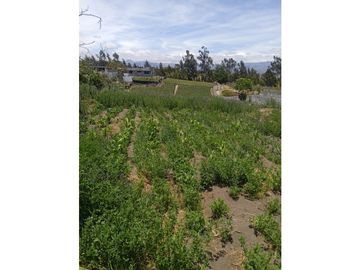 VENDO TERRENO AGRICOLA EN LA PROVINCIA DE TUNGURAHUA