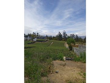 VENDO TERRENO AGRICOLA EN LA PROVINCIA DE TUNGURAHUA