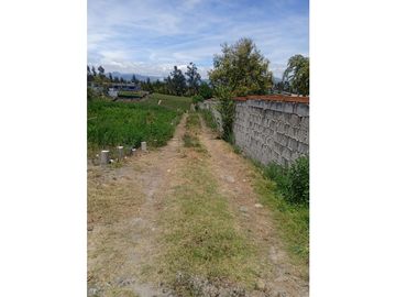 VENDO TERRENO AGRICOLA EN LA PROVINCIA DE TUNGURAHUA