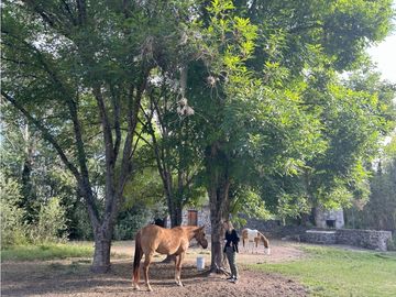 Casa de Campo en San Miguel Regla, Hidalgo