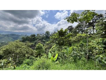 VENTA DE FINCA EN SALENTO, QUINDO, COLOMBIA