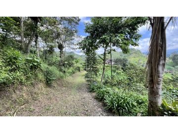 VENTA DE FINCA EN SALENTO, QUINDO, COLOMBIA