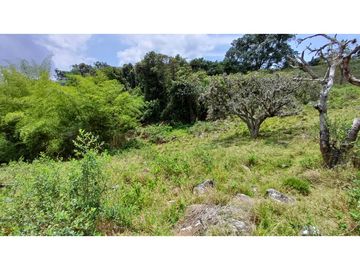 Venta de 2 Lotes en Medio Dapa Yumbo Valle