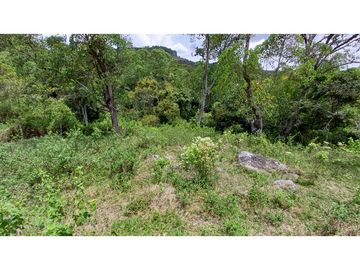 Venta de 2 Lotes en Medio Dapa Yumbo Valle