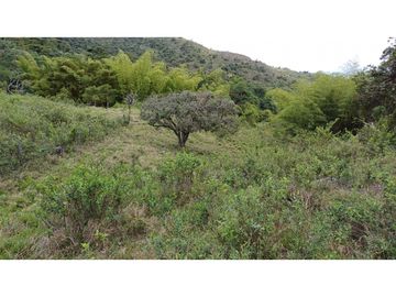 Venta de 2 Lotes en Medio Dapa Yumbo Valle