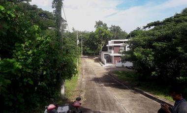 Most Affordable 129 Sqm Lot for Sale in Greenwoods near Talamban Cebu City